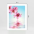 Plakat bez ramy 30x40 - Magia kwitnącej wiśni - kwitnąca, wiśnia