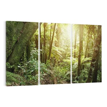 Obraz na płótnie 120x80 - Uroczysty Las Drzew - las, drzewa