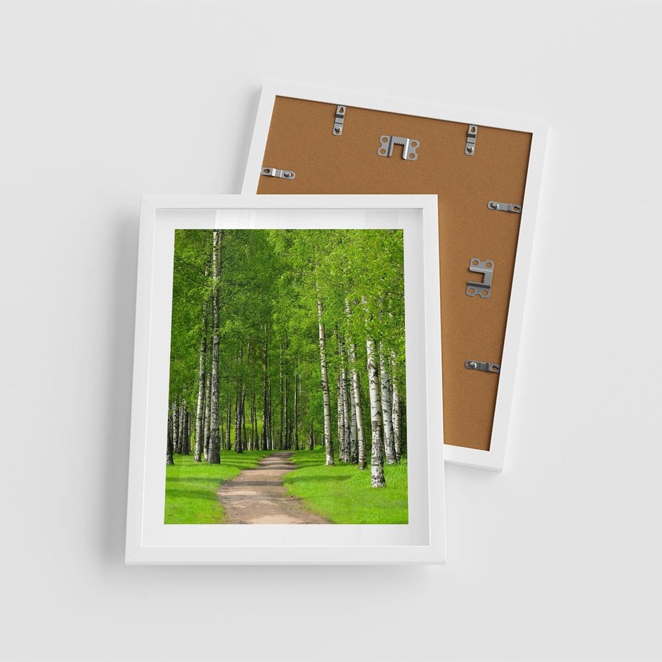 Plakat w ramie 40x50 - Spacer Ścieżką w Urokliwym Lesie - las, ścieżka - rama biała