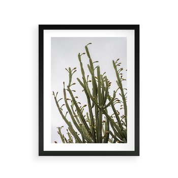 Plakat w ramie 50x70 - Ekskluzywna Roślinność - kaktusy, liście - rama czarna