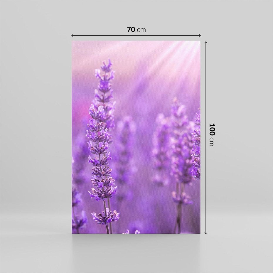 Obraz na płótnie 70x100 - Fioletowa harmonia lawendy - lawenda, fiolet