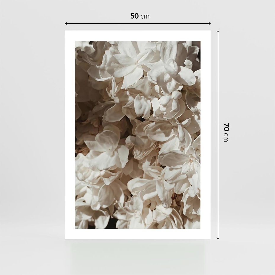 Plakat bez ramy 50x70 - Płatki w Detalu - białe kwiaty, zbliżenie