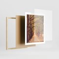 Plakat w ramie 40x50 - Wędrówka między drzewami - droga, drzewa - rama drewno