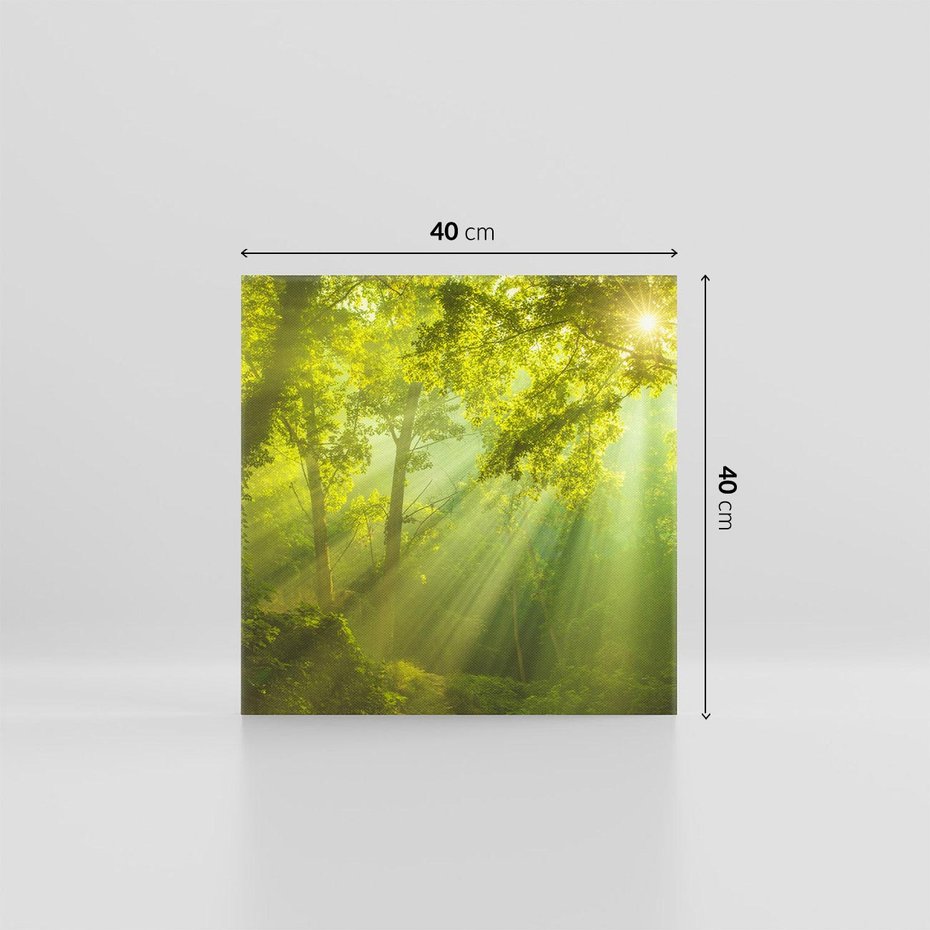 Obraz na płótnie 40x40 - drzewa w harmonii - las, drzewa