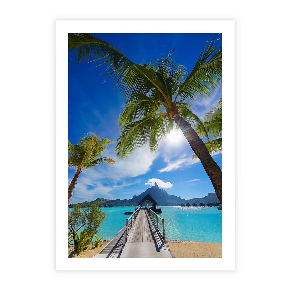 Plakat bez ramy 30x40 - Tropikalne palmy nad oceanem - palmy, ocean