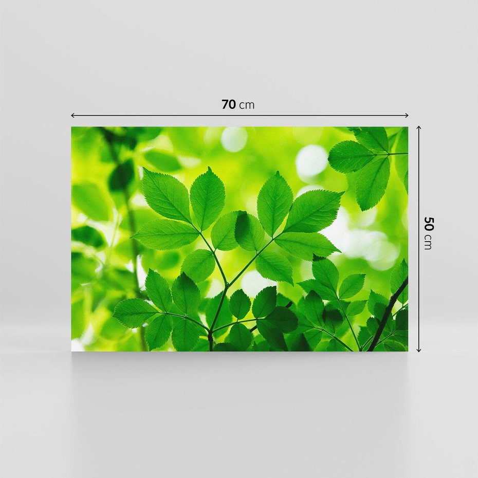 Obraz na płótnie 70x50 - Magia liści - liście, drzewo