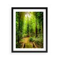 Plakat w ramie 40x50 - Współistnienie z naturą - drzewa, las - rama czarna