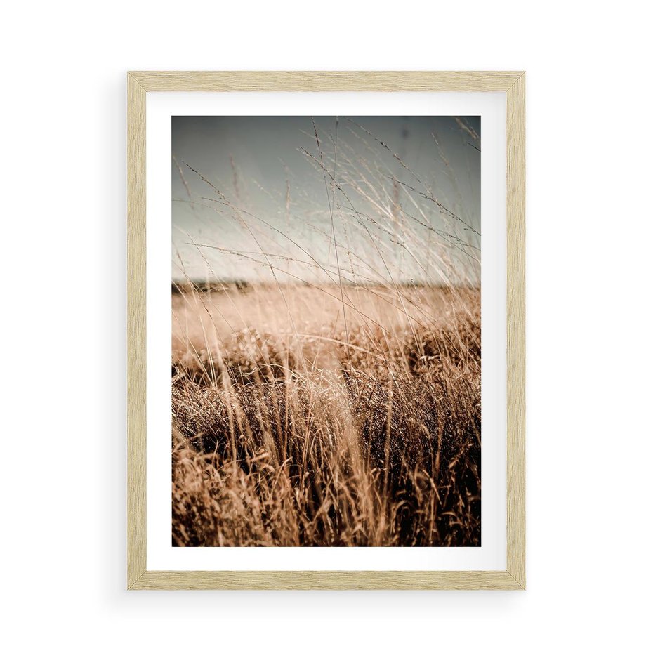 Plakat w ramie 50x70 - Sucha Trawa w Odcieniach Sepii - suche trawy, łąka odcienie beżu - rama drewno