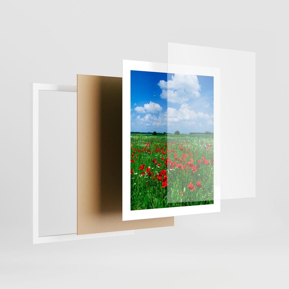 Plakat w ramie 40x50 - Kolorowa łąka pełna maku - łąka, maki - rama biała