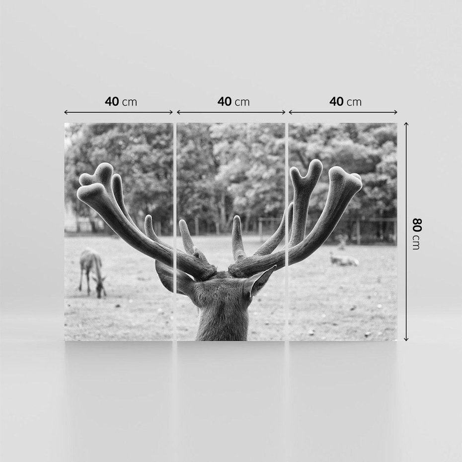 Obraz na płótnie 120x80 - Przygubione motyle marzeń - fotografia czarno biała, młody jeleń w zagrodzie