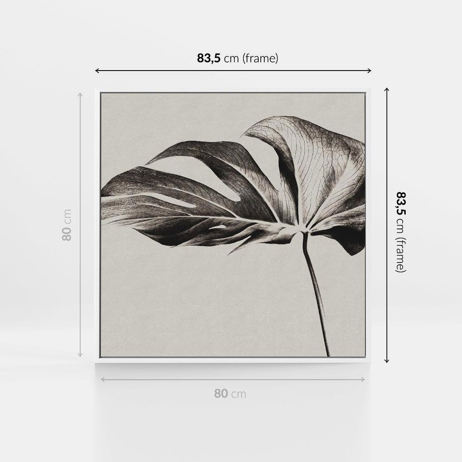 Obraz w ramie 80x80 - Szepczący Liść - szkic, czarno biały - rama biała