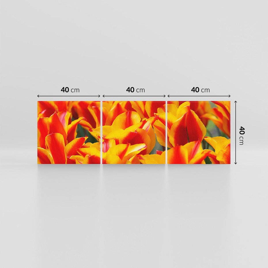 Obraz na płótnie 120x40 - Kwiatowa natura - kwiat, kwiaty