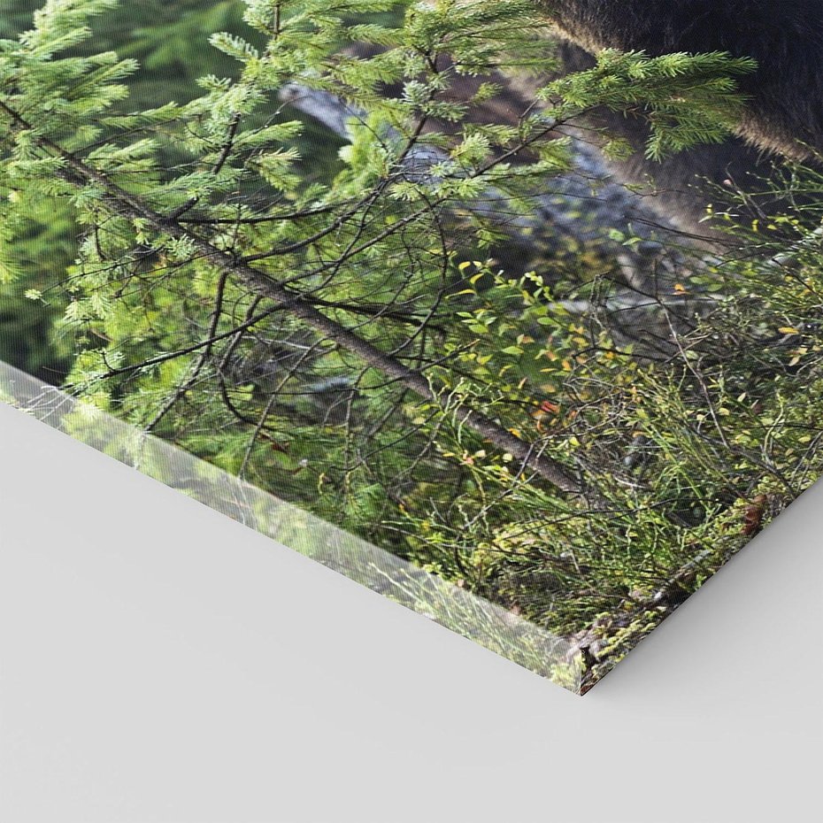 Obraz na płótnie 100x70 - Spotkanie z Niedźwiedziem w Lesie - niedźwiedź, las