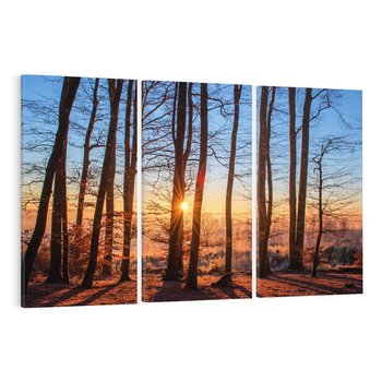 Obraz na płótnie 120x80 - Piękno lasu - las, drzewa