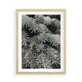 Plakat w ramie 50x70 - Zima na Gałęziach - sosnowe gałęzie, igły - rama drewno