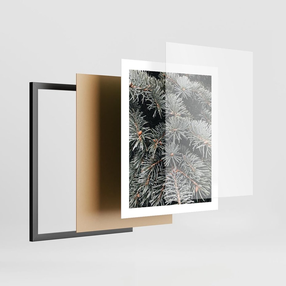 Plakat w ramie 40x50 - Zima na Gałęziach - sosnowe gałęzie, igły - rama czarna