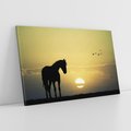 Obraz na płótnie 70x50 - Koń w Zachodnim Świetle - koń, ptaki