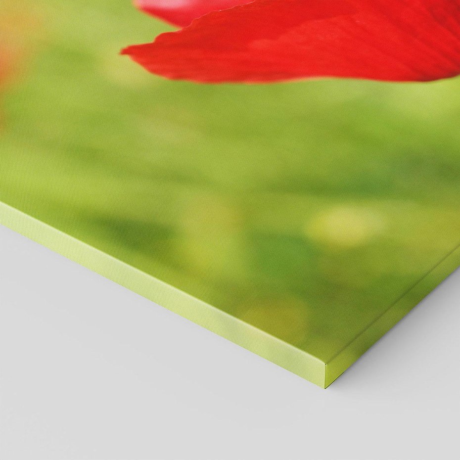 Obraz na płótnie 100x70 - Magia maku na łące - mak, łąka