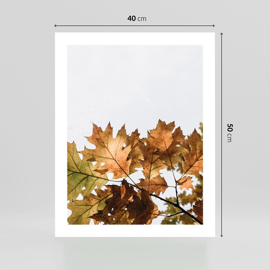 Plakat bez ramy 40x50 - Suche Żółte Liście w Malowniczym Ujęciu - liście, żółte