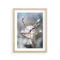 Plakat w ramie 30x40 - Zimowy Urok Natury - gałązki pod śniegiem, natura - rama drewno