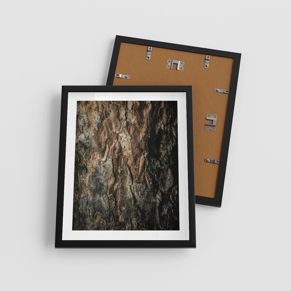 Plakat w ramie 40x50 - Tekstura Drewna: Zbliżenie - zbliżenie na pień drzewa, tekstura - rama czarna