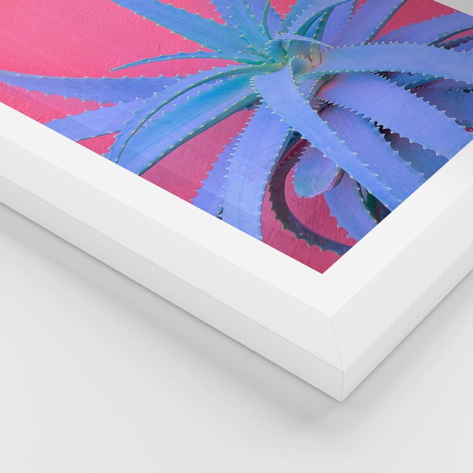 Plakat w ramie 40x50 - Piękno Pustyni - kaktusy, liście - rama biała