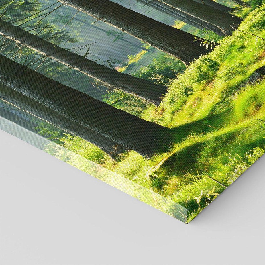 Obraz na płótnie 120x80 - Idylliczny las - las, drzewa