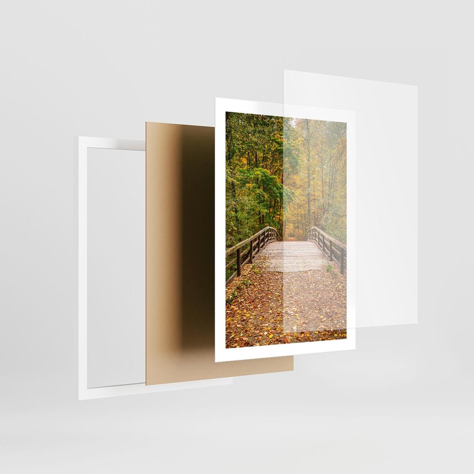 Plakat w ramie 50x70 - Spacer Ścieżką w Las - ścieżka, spacer - rama biała