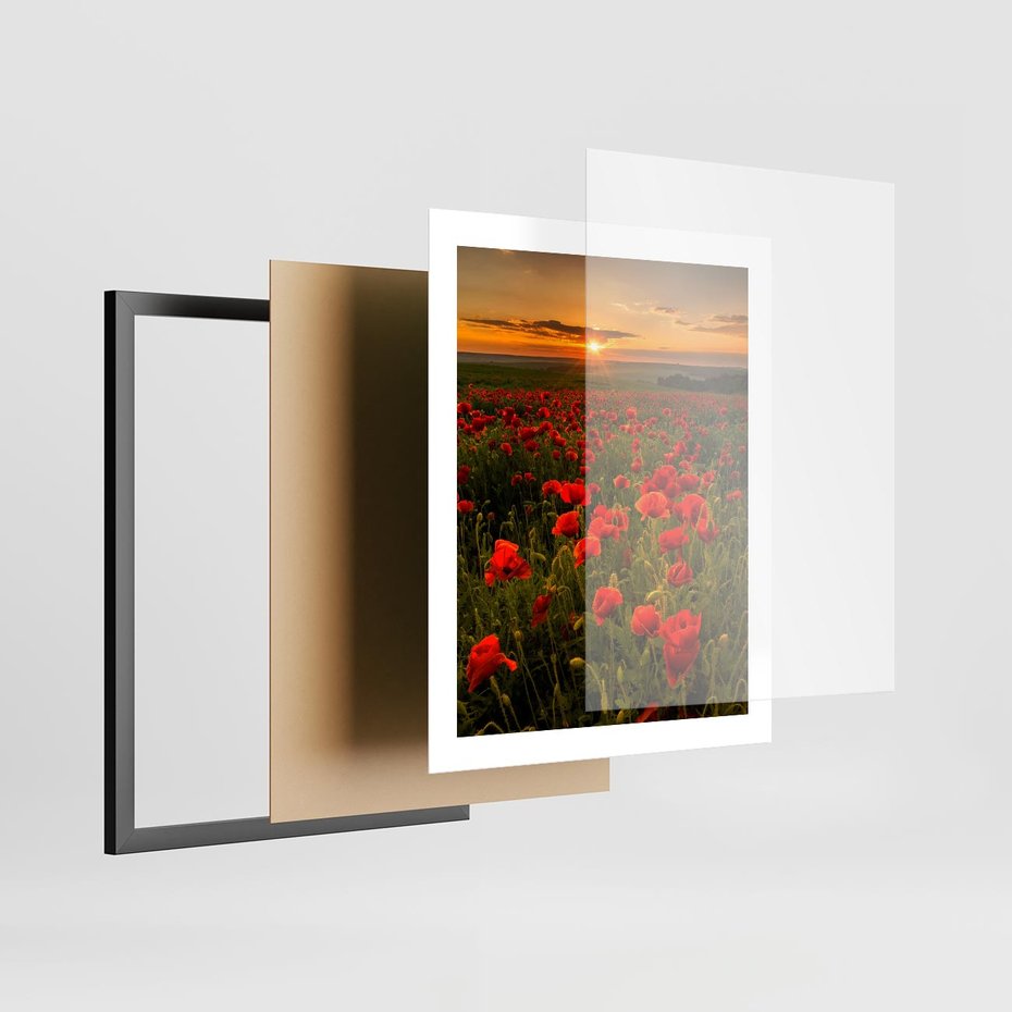 Plakat w ramie 40x50 - Maki przy zachodzie słońca - maki, zachód - rama czarna