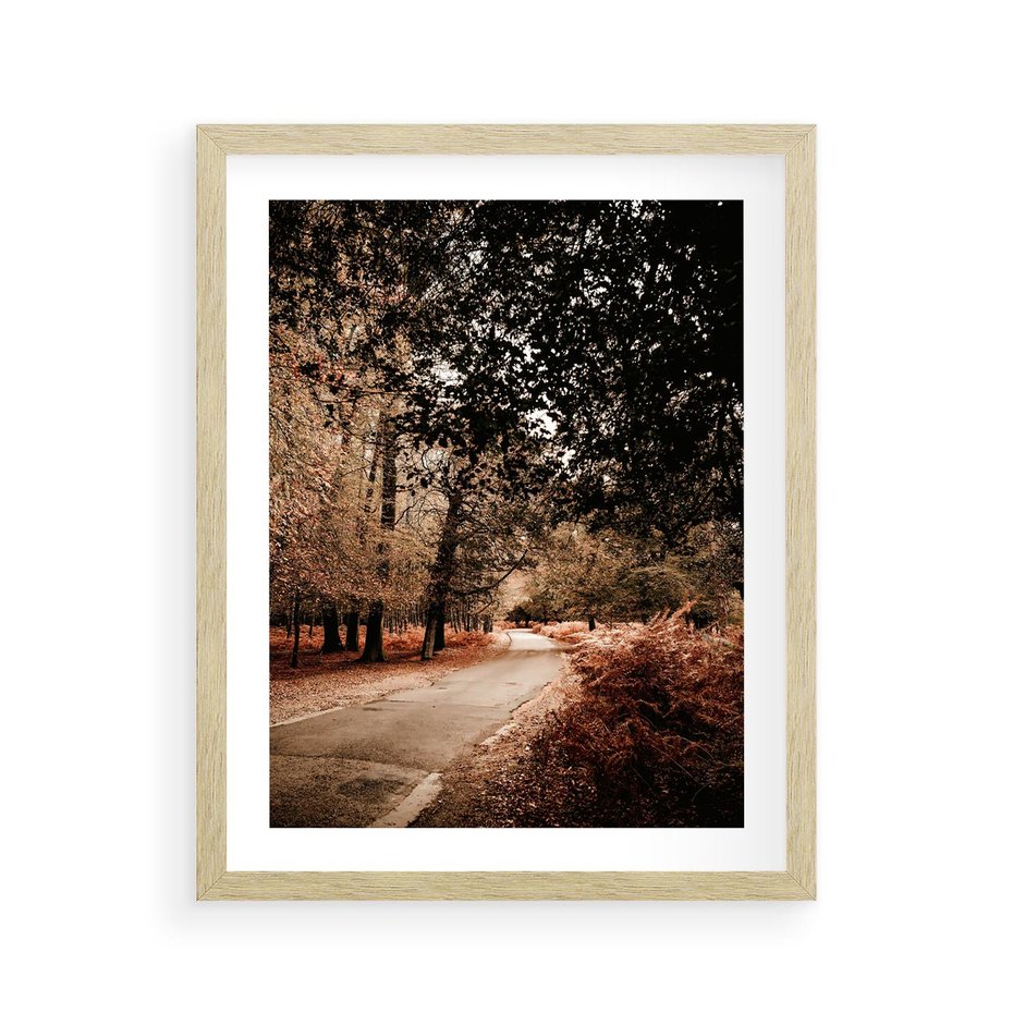 Plakat w ramie 40x50 - Magia Jesieni: Pejzaż Parku w Odcieniach Żółci - jesień, park - rama drewno