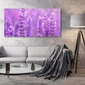 Obraz na płótnie 120x60 - Fioletowa harmonia lawendy - lawenda, fiolet