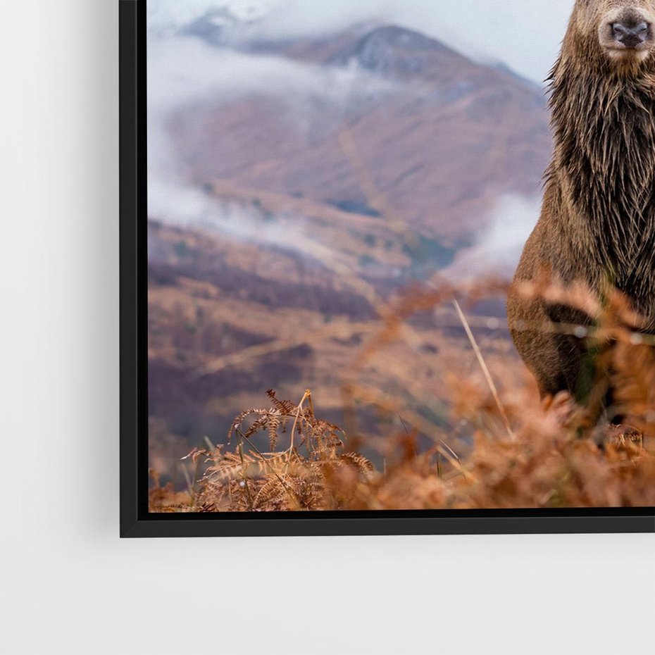 Obraz w ramie 50x50 - Jeleń w Uśpionym Krajobrazie - jeleń na tle gór, ośnieżone góry - rama czarna