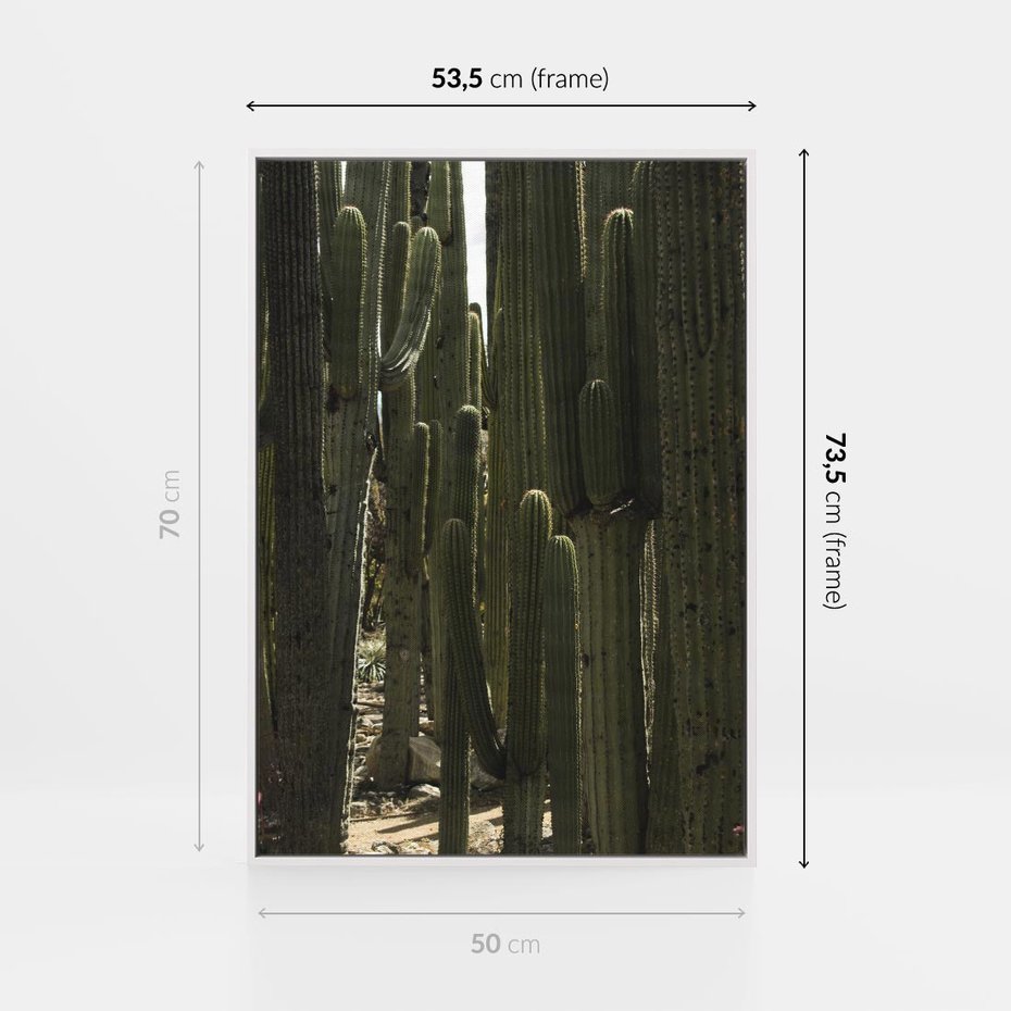 Obraz w ramie 50x70 - Wyjątkowy Klimat Boho - kaktusy, pustynia - rama biała