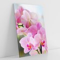 Obraz na płótnie 80x120 - Elegancja orchidei - orchidea, kwiaty