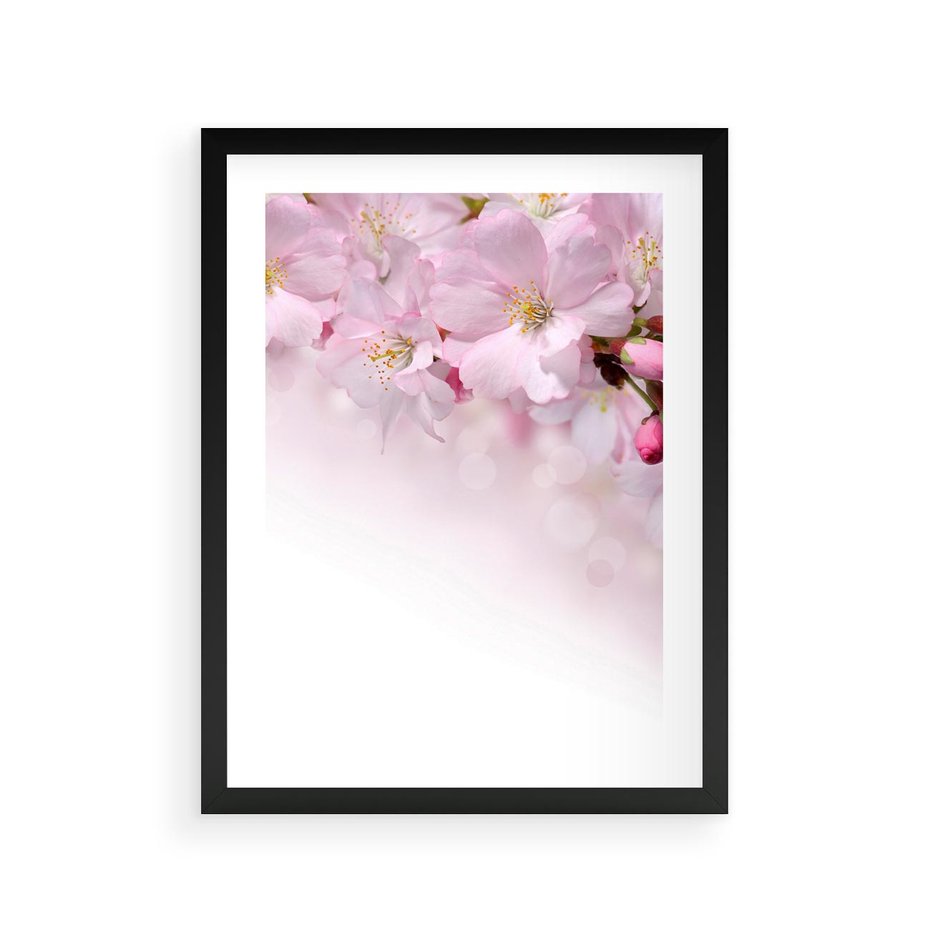 Plakat w ramie 30x40 - Kwitnąca Wiśnia - kwiaty, kwitnącej - rama czarna
