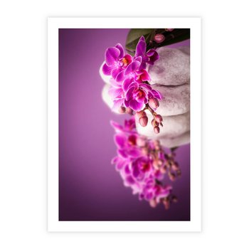 Plakat bez ramy 40x50 - Relaksująca orchidea w spa - spa, orchidea