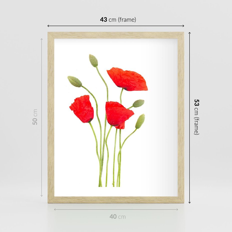 Plakat w ramie 40x50 - Pola maków w pełnym kolorze - maki, kwiaty - rama drewno