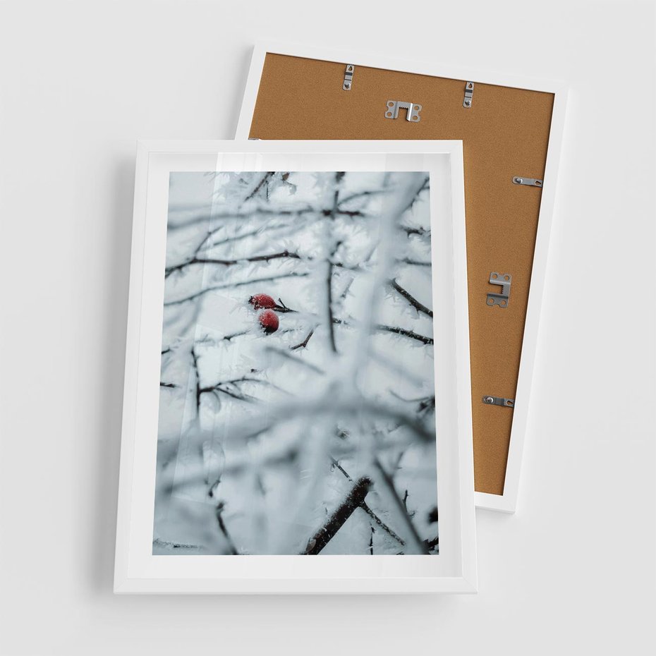 Plakat w ramie 50x70 - Zima w Detalu: Gałęzie ze Szronem i Śniegiem - śnieg, zima - rama biała