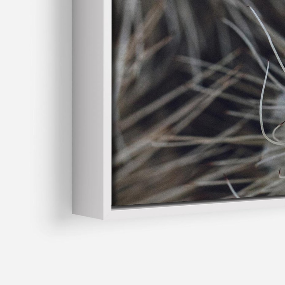 Obraz w ramie 70x50 - Ulotna Piękność Natury - makro, dmuchawce - rama biała