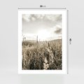 Plakat bez ramy 30x40 - Łąka w Klimacie Sepii - suche trawy, łąka