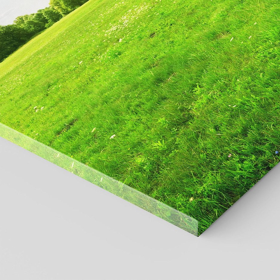 Obraz na płótnie 80x120 - Idylla na łące drzew - łąka, drzewa