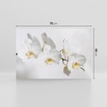 Obraz na płótnie 70x50 - Orchidea Kwiat - orchidea, kwiat