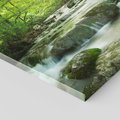 Obraz na płótnie 80x80 - Ukojenie strumienia: Spotkanie z naturą - strumyk, las