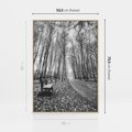Obraz w ramie 50x70 - Spadające Liście - czarno białe zdjecie, park - rama drewno