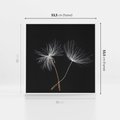 Obraz w ramie 50x50 - Delikatność Wiatru - dmuchawce, makro - rama biała