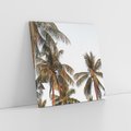 Obraz na płótnie 60x60 - Palmy - tęsknota za Hawajami - palmy, Hawaje