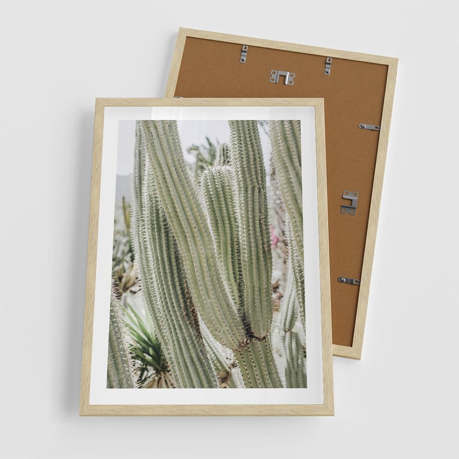 Plakat w ramie 50x70 - Duże Kaktusy w Pejzażu - kaktus, duże kaktusy na pustyni - rama drewno