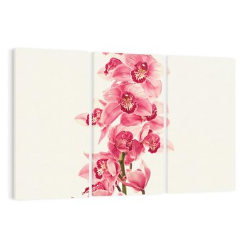 Obraz na płótnie 120x80 - Orchidea w spa - relaks - orchidea, spa