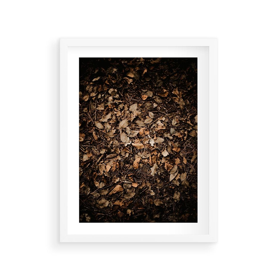 Plakat w ramie 30x40 - Brązowe Liście w Scenerii - suche liście jesień brąz - rama biała