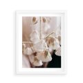 Plakat w ramie 40x50 - Suszona Delikatność - suszone kwiaty, rośliny - rama biała